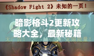 暗影格斗2更新攻略大全，最新秘籍揭秘！