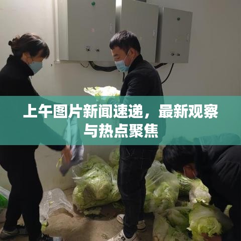 上午圖片新聞速遞，最新觀察與熱點聚焦