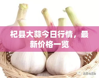 杞縣大蒜今日行情，最新價格一覽