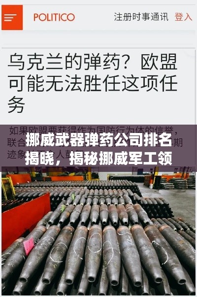 挪威武器彈藥公司排名揭曉，揭秘挪威軍工領(lǐng)域的佼佼者