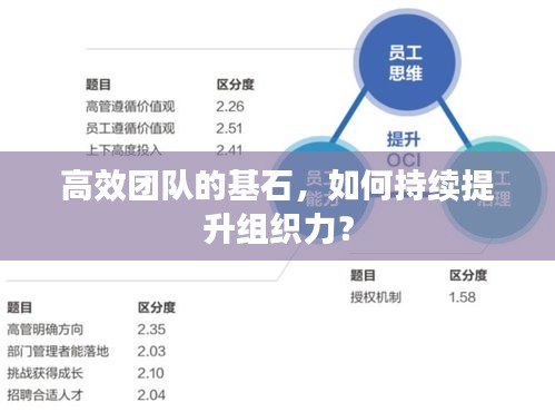 高效團(tuán)隊(duì)的基石，如何持續(xù)提升組織力？