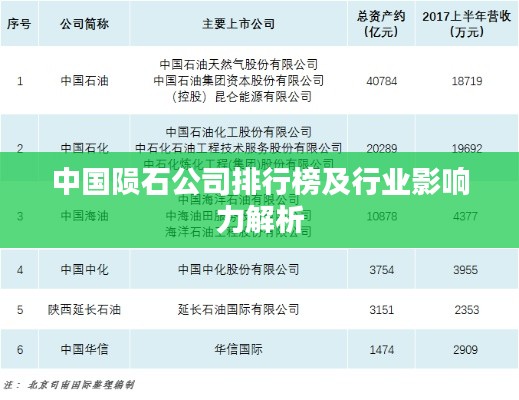 中國隕石公司排行榜及行業(yè)影響力解析