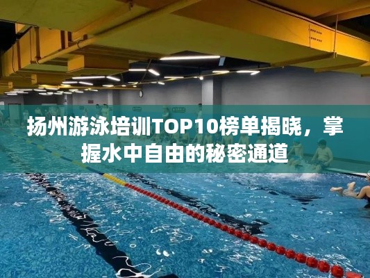 揚(yáng)州游泳培訓(xùn)TOP10榜單揭曉，掌握水中自由的秘密通道