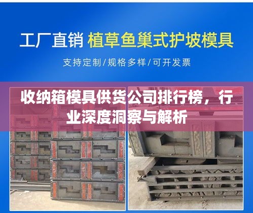 收納箱模具供貨公司排行榜，行業(yè)深度洞察與解析