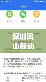 深圳鳳山新動(dòng)向與發(fā)展熱點(diǎn)獨(dú)家新聞?lì)^條