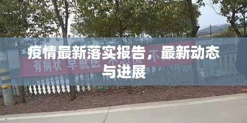 疫情最新落實報告，最新動態(tài)與進展