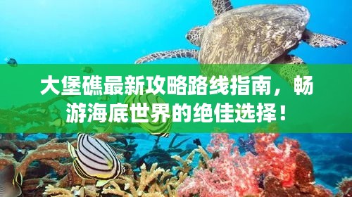 大堡礁最新攻略路線(xiàn)指南，暢游海底世界的絕佳選擇！