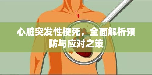 心臟突發(fā)性梗死，全面解析預(yù)防與應(yīng)對之策