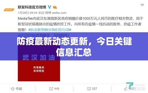 防疫最新動(dòng)態(tài)更新，今日關(guān)鍵信息匯總