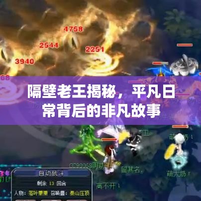 隔壁老王揭秘，平凡日常背后的非凡故事