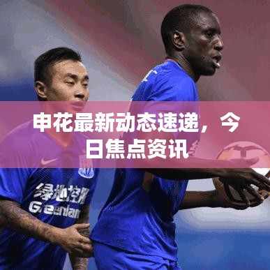 申花最新動態(tài)速遞，今日焦點資訊