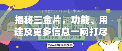 揭秘三金片，功能、用途及更多信息一網(wǎng)打盡！