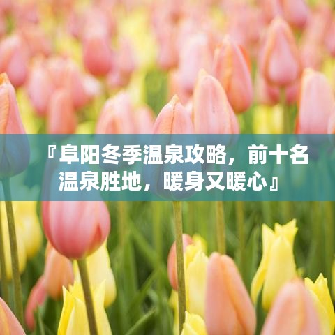 『阜陽冬季溫泉攻略，前十名溫泉?jiǎng)俚兀碛峙摹? width=