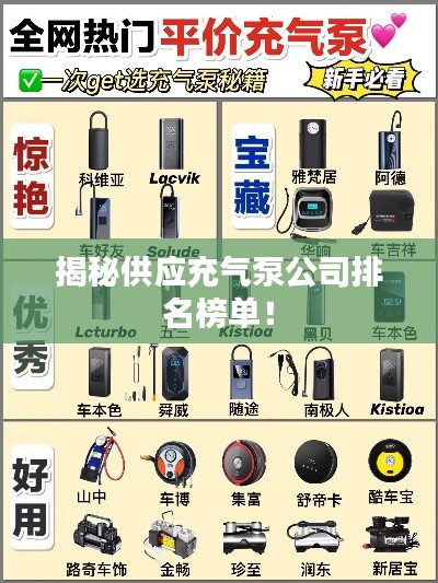 揭秘供應(yīng)充氣泵公司排名榜單！