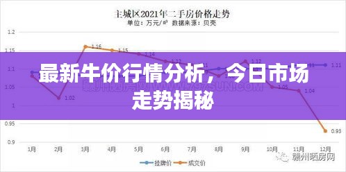 最新牛價行情分析，今日市場走勢揭秘