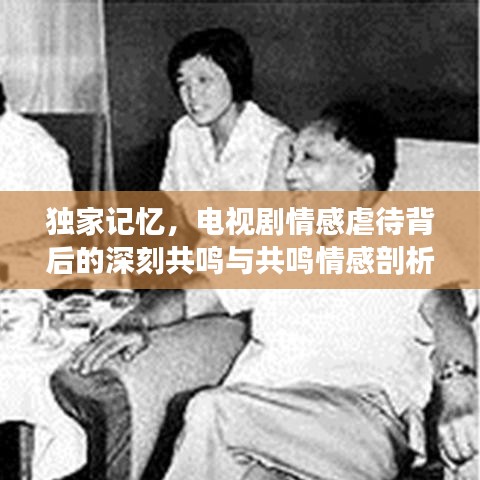 獨(dú)家記憶，電視劇情感虐待背后的深刻共鳴與共鳴情感剖析