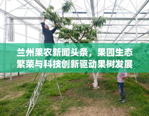 蘭州果農(nóng)新聞?lì)^條，果園生態(tài)繁榮與科技創(chuàng)新驅(qū)動(dòng)果樹(shù)發(fā)展之路