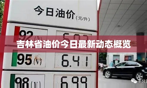 吉林省油價(jià)今日最新動(dòng)態(tài)概覽