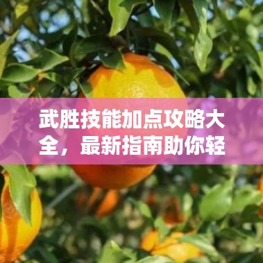 武勝技能加點攻略大全，最新指南助你輕松掌握！