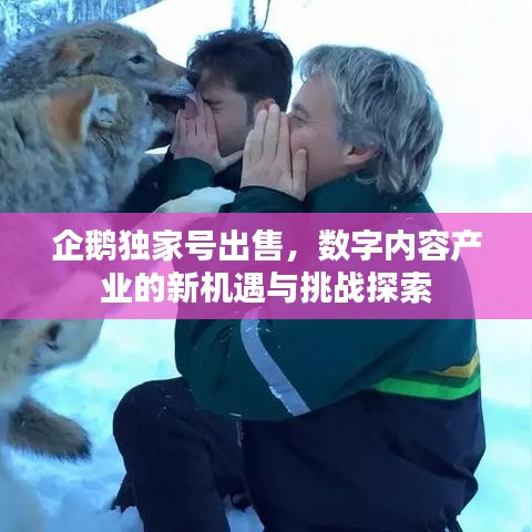 企鵝獨家號出售，數(shù)字內(nèi)容產(chǎn)業(yè)的新機遇與挑戰(zhàn)探索
