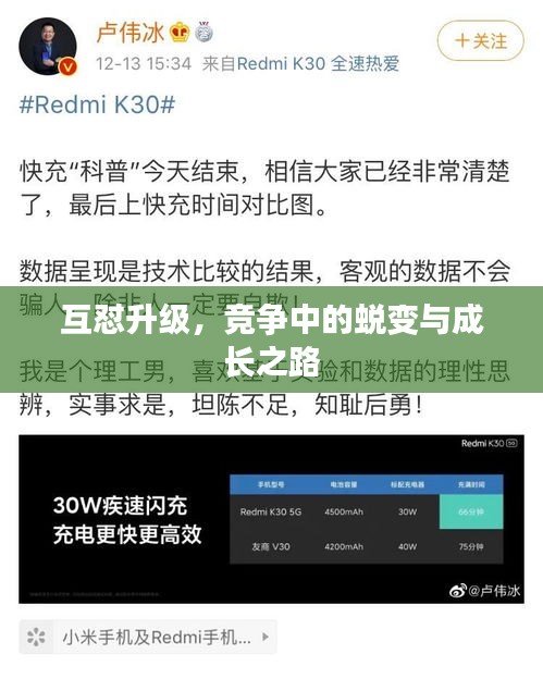 互懟升級，競爭中的蛻變與成長之路