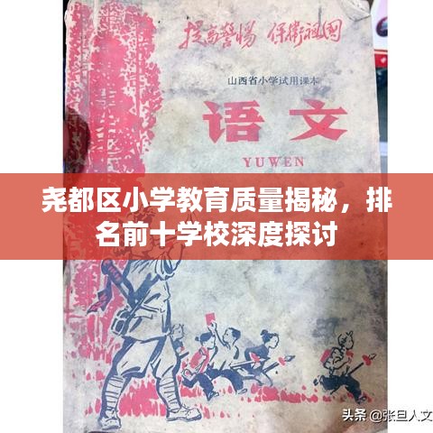 堯都區(qū)小學(xué)教育質(zhì)量揭秘，排名前十學(xué)校深度探討