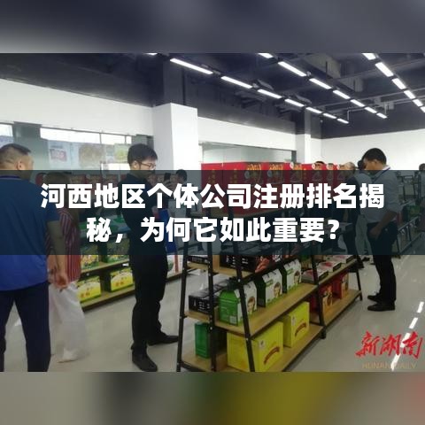 河西地區(qū)個體公司注冊排名揭秘，為何它如此重要？