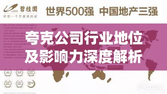 夸克公司行業(yè)地位及影響力深度解析，排名背后的實(shí)力與影響力揭秘