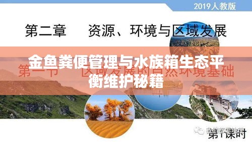 金魚糞便管理與水族箱生態(tài)平衡維護(hù)秘籍