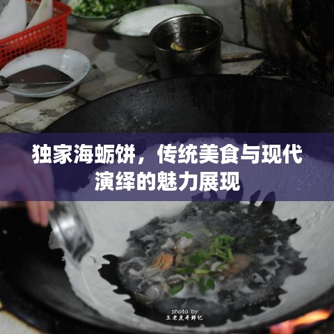 獨家海蠣餅，傳統(tǒng)美食與現(xiàn)代演繹的魅力展現(xiàn)