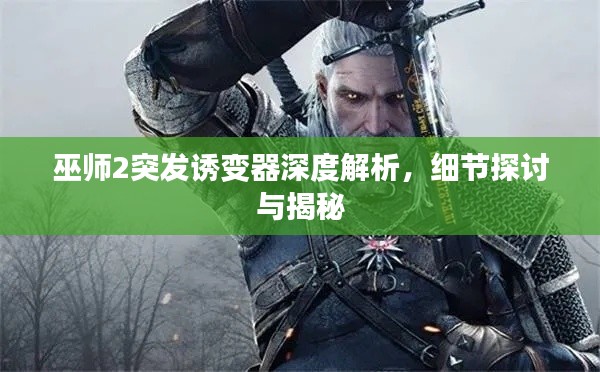 巫師2突發(fā)誘變器深度解析，細節(jié)探討與揭秘