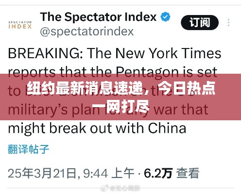 紐約最新消息速遞，今日熱點(diǎn)一網(wǎng)打盡