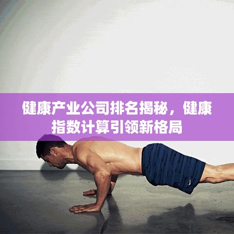 健康產(chǎn)業(yè)公司排名揭秘，健康指數(shù)計(jì)算引領(lǐng)新格局