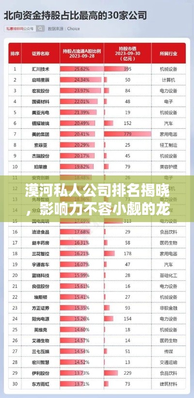 漠河私人公司排名揭曉，影響力不容小覷的龍頭企業(yè)盤點