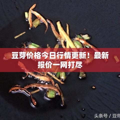 豆芽價格今日行情更新！最新報價一網(wǎng)打盡