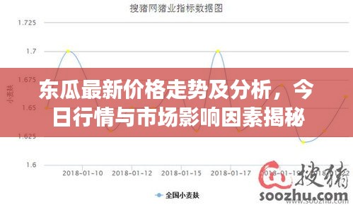 東瓜最新價格走勢及分析，今日行情與市場影響因素揭秘