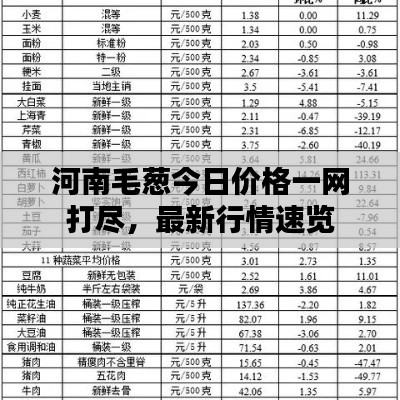 河南毛蔥今日價格一網(wǎng)打盡，最新行情速覽