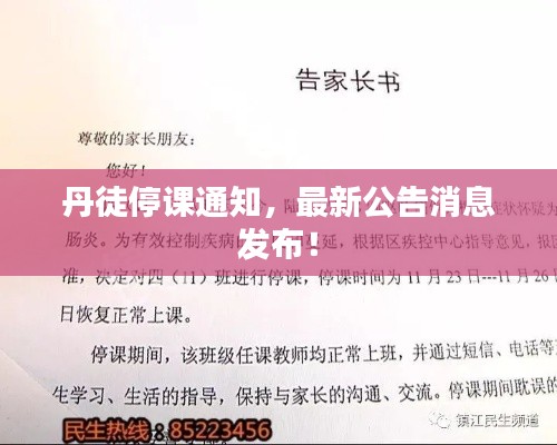 丹徒停課通知，最新公告消息發(fā)布！