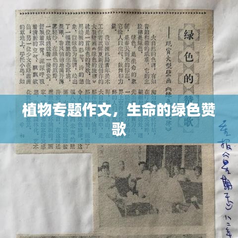 植物專題作文，生命的綠色贊歌