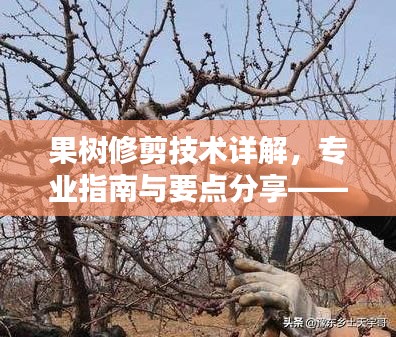 果樹修剪技術詳解，專業(yè)指南與要點分享——百度知識課堂