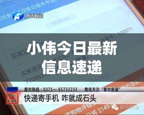 小偉今日最新信息速遞