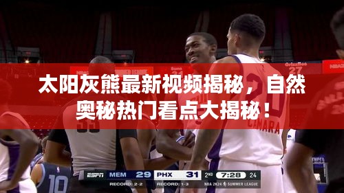 太陽灰熊最新視頻揭秘，自然奧秘?zé)衢T看點大揭秘！