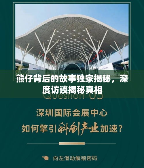 熊仔背后的故事獨(dú)家揭秘，深度訪談揭秘真相