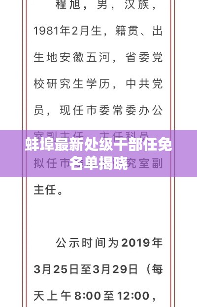 蚌埠最新處級干部任免名單揭曉