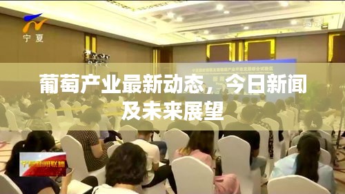 葡萄產(chǎn)業(yè)最新動態(tài)，今日新聞及未來展望