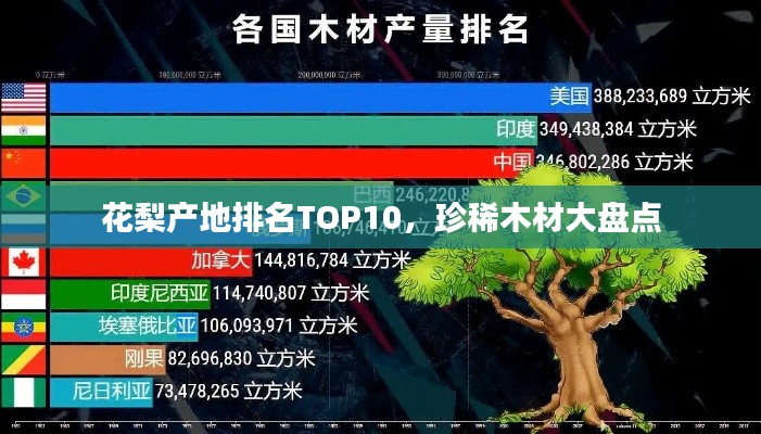 花梨產(chǎn)地排名TOP10，珍稀木材大盤(pán)點(diǎn)