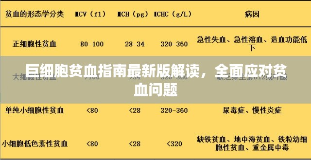 巨細(xì)胞貧血指南最新版解讀，全面應(yīng)對(duì)貧血問題