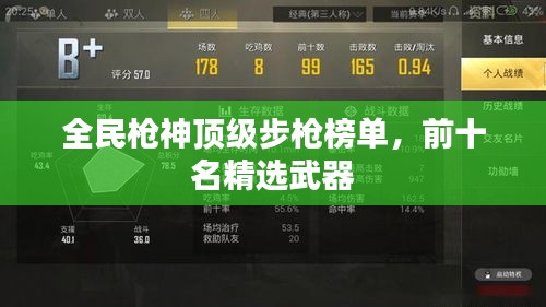 全民槍神頂級步槍榜單，前十名精選武器