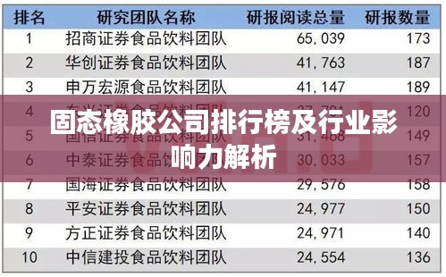 固態(tài)橡膠公司排行榜及行業(yè)影響力解析