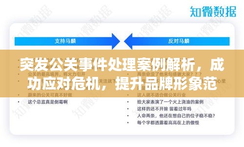 突發(fā)公關(guān)事件處理案例解析，成功應(yīng)對危機，提升品牌形象范文展示